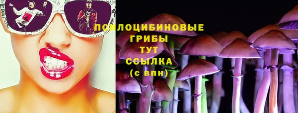 дурь Алексеевка