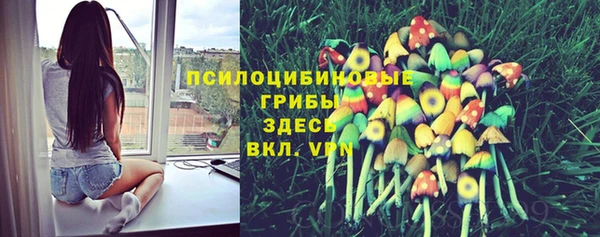 экстази Алексин