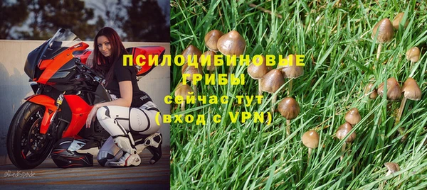 мяу мяу мука Алзамай