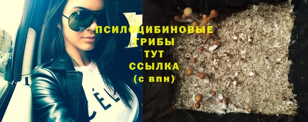 дурь Алексеевка