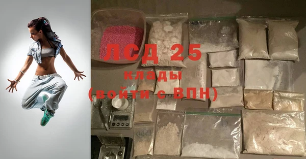 прущие грибы Навашино