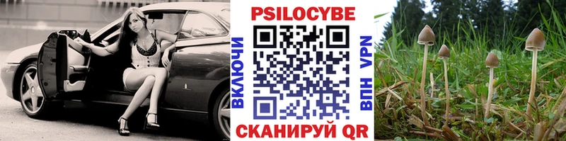 Псилоцибиновые грибы Psilocybe  mega ссылки  Полысаево  наркошоп 